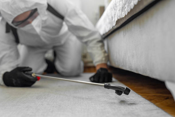 Professional Cockroach Control technician working in Dodgeville, WI